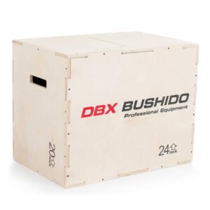 BUSHIDO Plyo Box skříň DBX premium